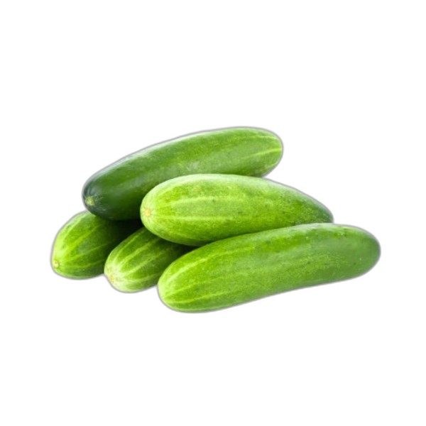 FRESH CUCUMBERS 1KG JORVAL