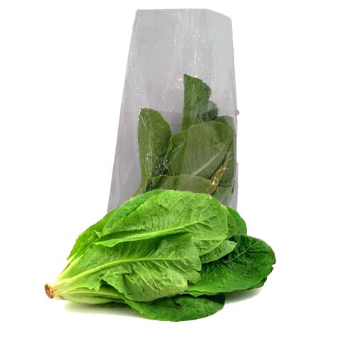 ROMAIN LETTUCE LARGE 150G