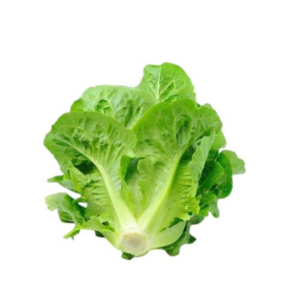 LETTUCE 250G