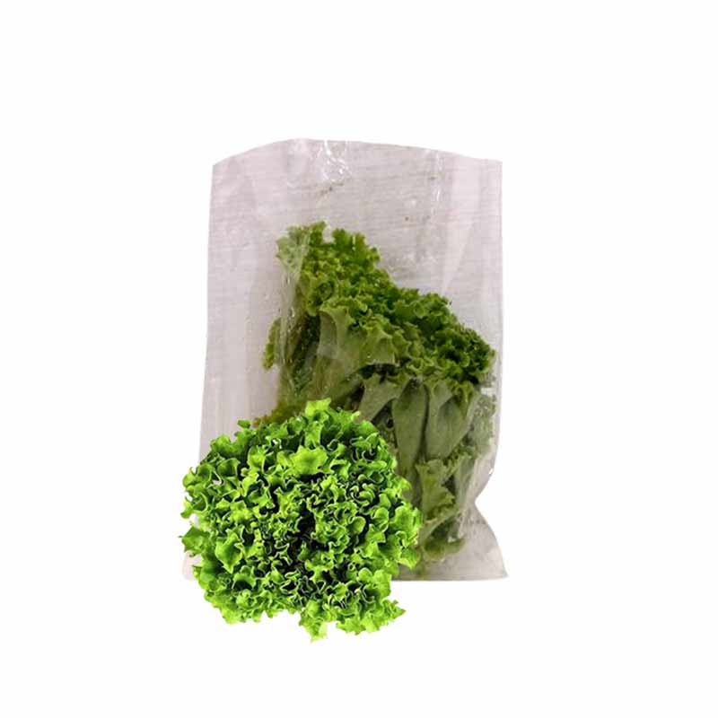 LETTUCE BATTAVIA AQUAPONIC150G