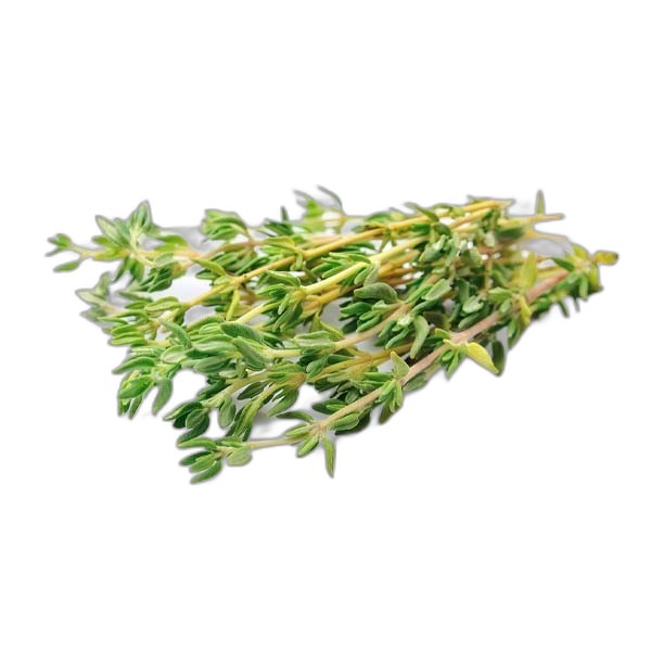 VVF THYME 100G