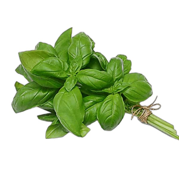 FRESH BASIL 60G
