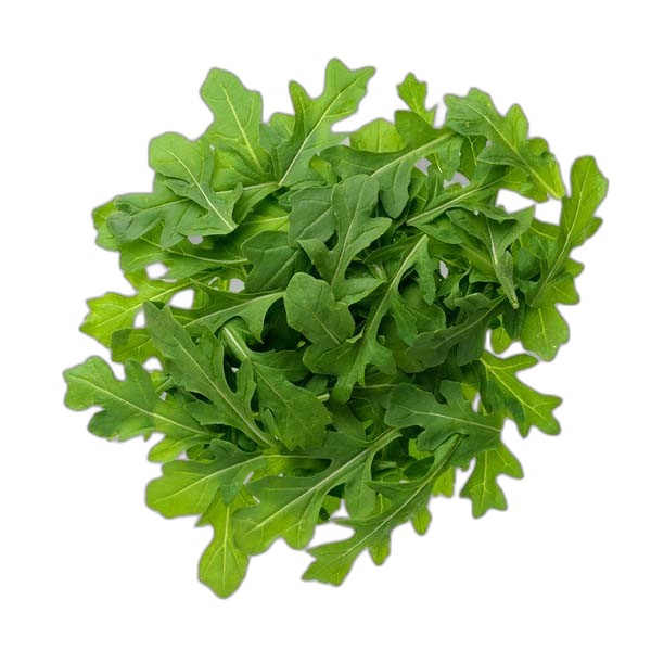 FRESH ARUGULA 125G