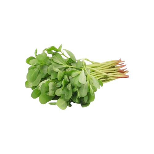 FRESH BAKLEH 125G