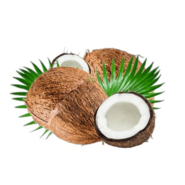 SOFE DRY COCONUT PCS