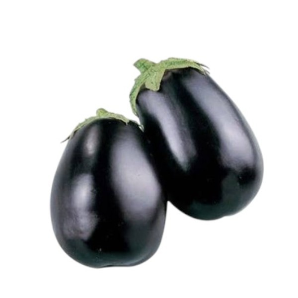 BLACK BEAUTY AUBERGINE 1KG