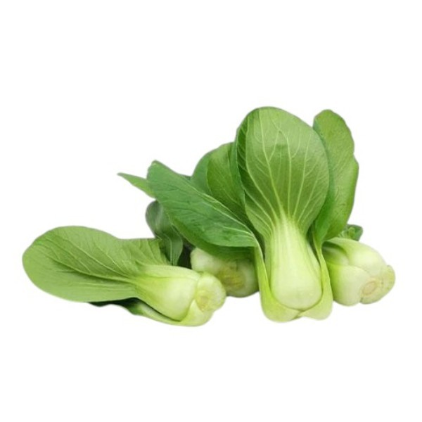 BOK CHOY AQUAPONIC 150G