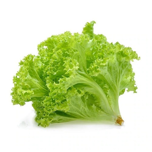 LAKE LETTUCE PACK 250G