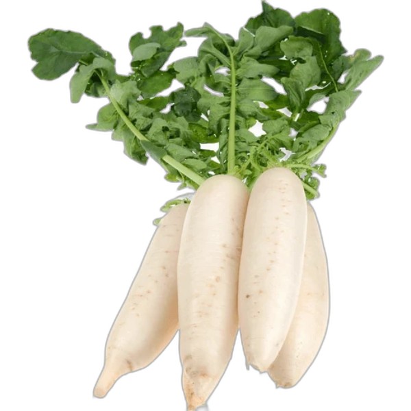 WHITE RADISH 1KG