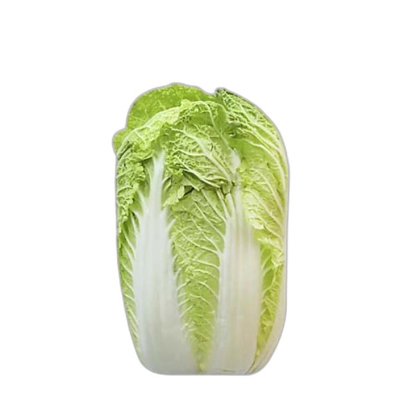 BABY CHINESE CABBAGE 3PC FC