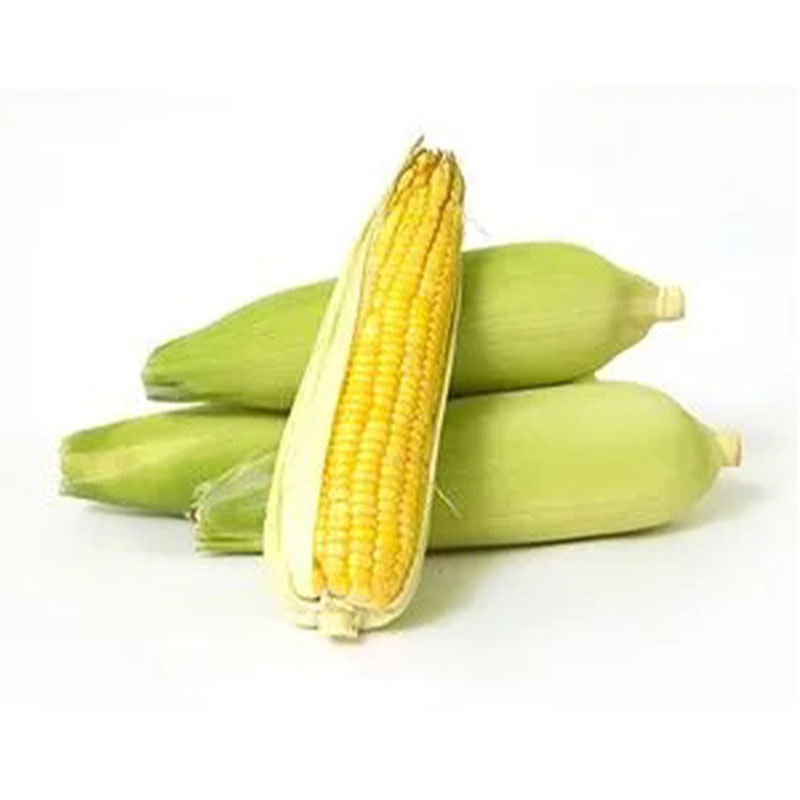 MALF SWEET CORN SMALL PCS