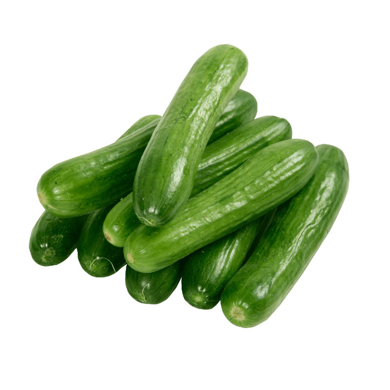 EGFAR LEBANESE CUCUMBER 1KG