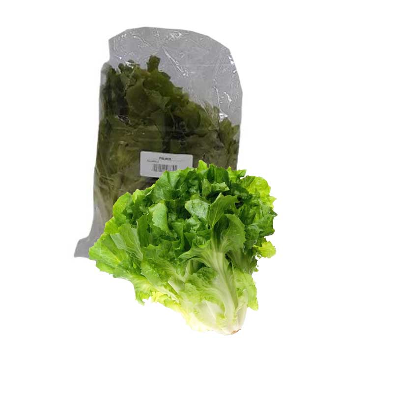 ESCAROLE LETTUCE