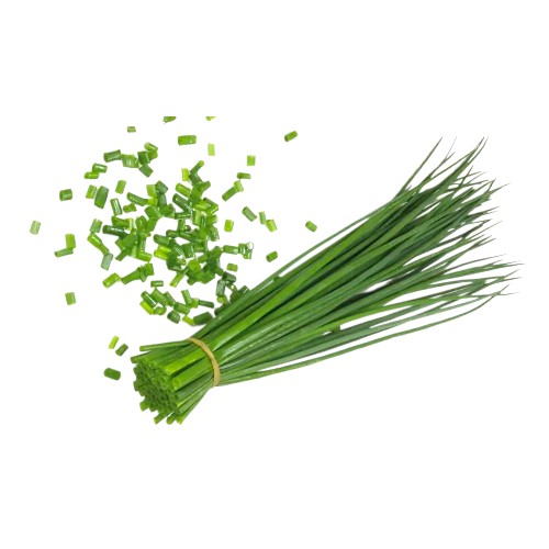 CHIVES BUNDLE