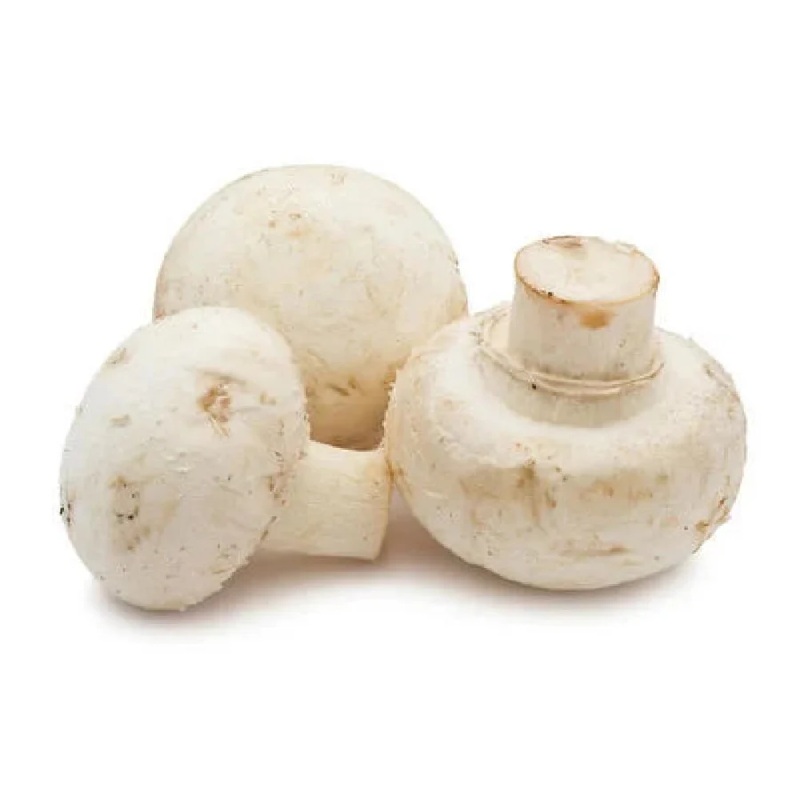 LEB FRESH MUSHROOM PACK