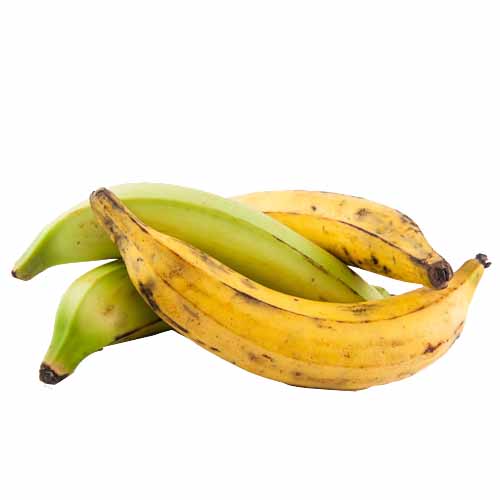 QF PLANTAIN KG