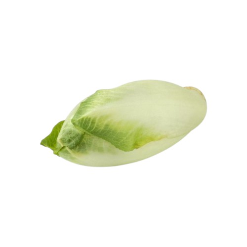 CHICORY KG