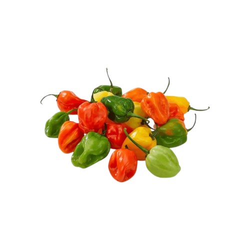 HABANERO PEPPER RED&YELLOW KG LSF