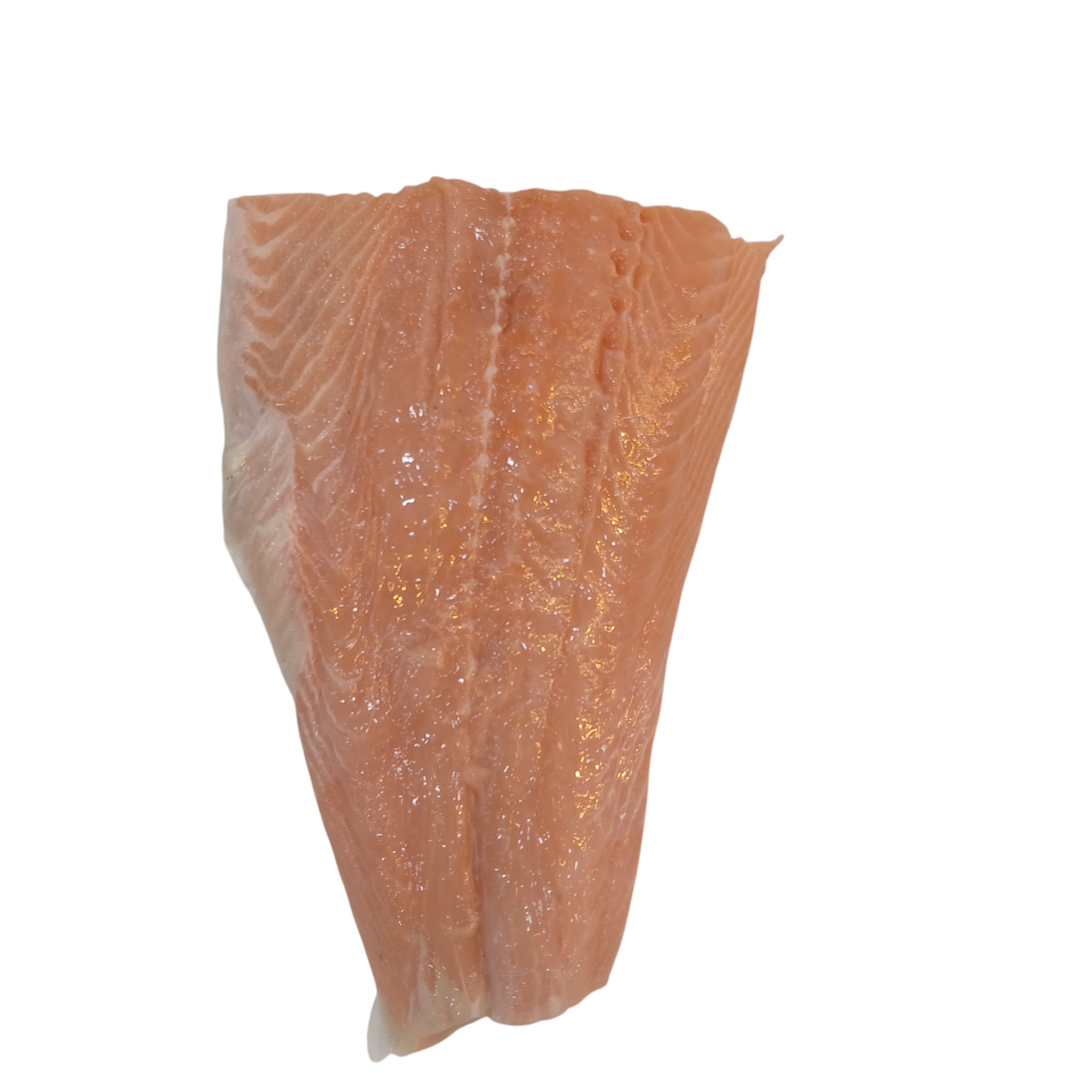 NORWAY SALMON FILLET