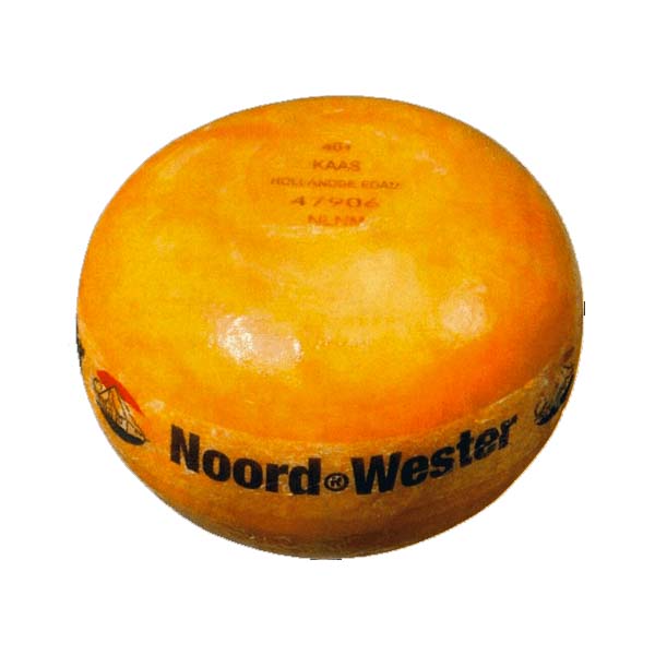 EDAM YOUNG NW 40+ E1.7K KG