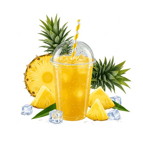 ELIXIR FRESH PINEAPPLE JUICE 500ML
