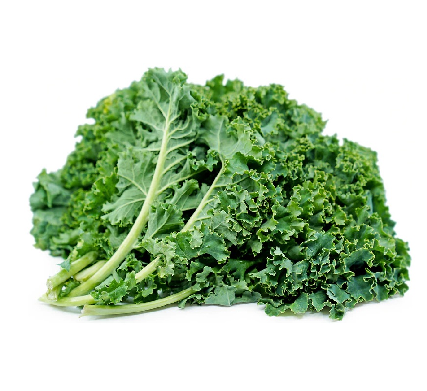 LEB FRESH KALE KG