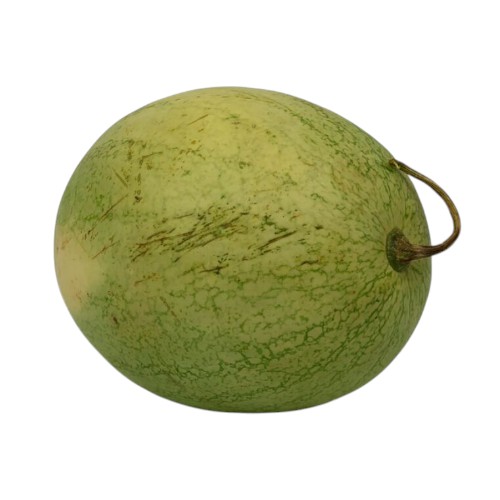 NUR WATERMELON KG.