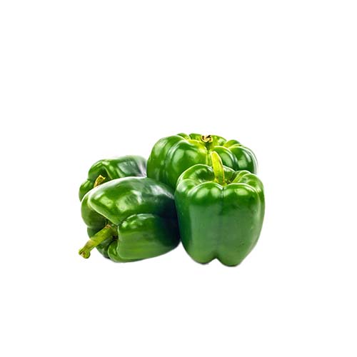 LUREE GREEN BELL PEPPER KG