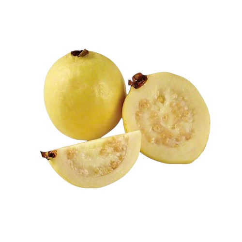LEB GUAVA.