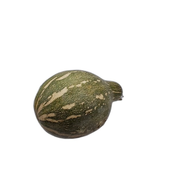 PUMPKIN KG.