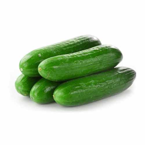 LEB MEDITERRANEAN CUCUMBER KG