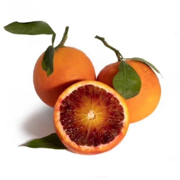 2K BLOOD ORANGE KG
