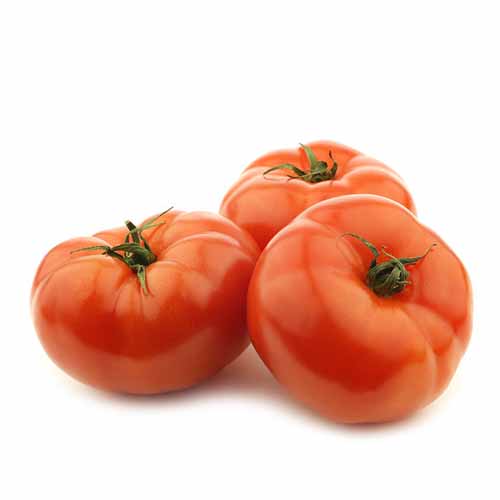 LEB BEEF TOMATO KG