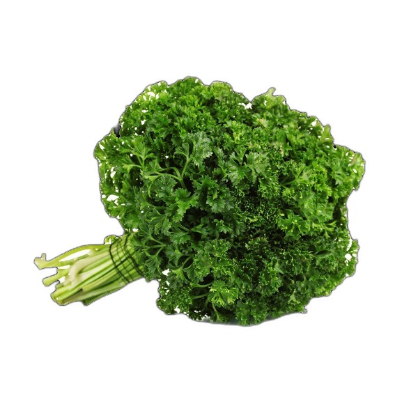 CURLY PARSLEY KG
