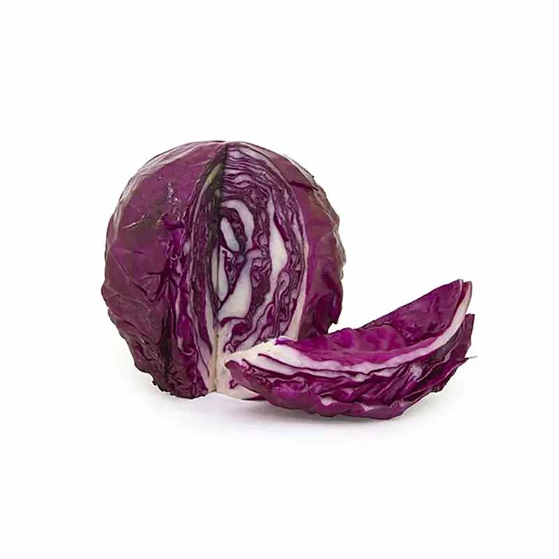 RED CABBAGE 9-10KG