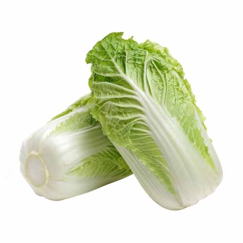 FC CHINESE CABBAGE KG