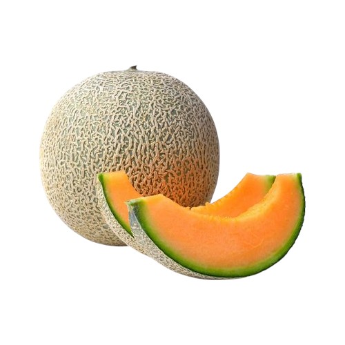 MELON CANTALOP KG BA.