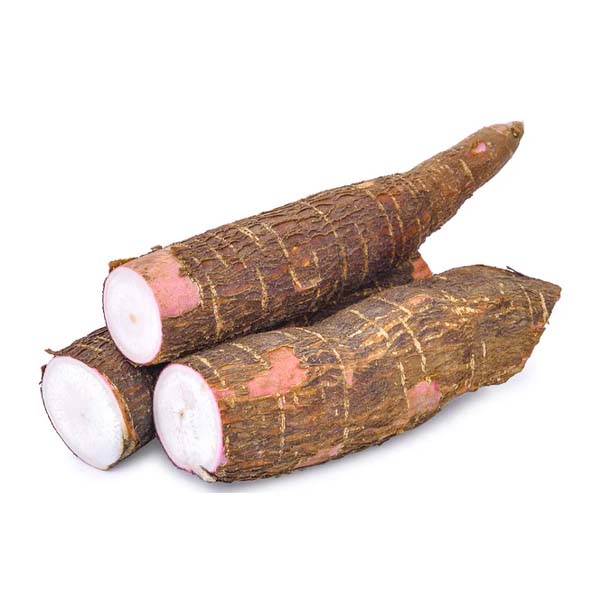 CASSAVA KG LDS