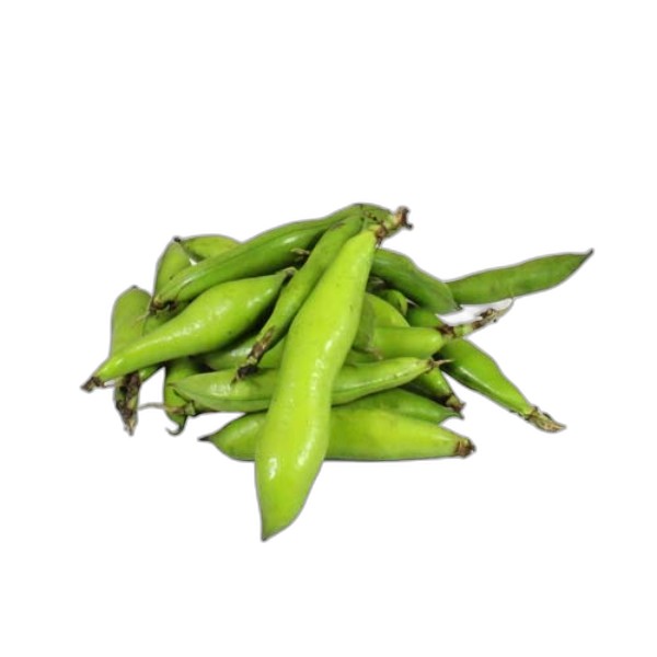 LEB FRESH FAVA BEANS KG