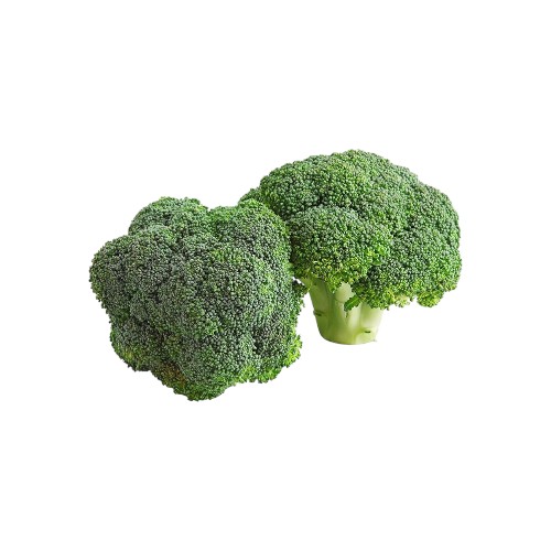 BROCCOLI KG