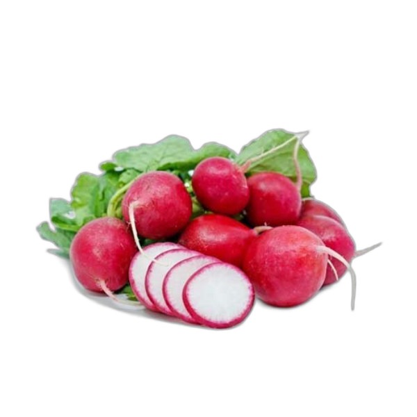 LEB FRESH RADISH
