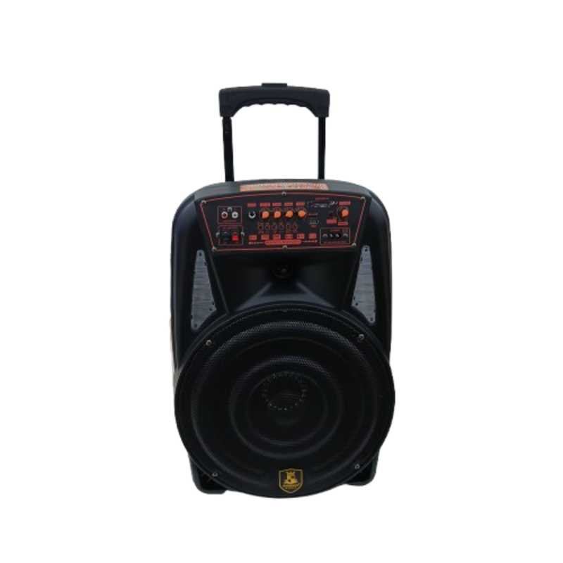 AVCROWNS SPEAKER 12 IN CH-8613