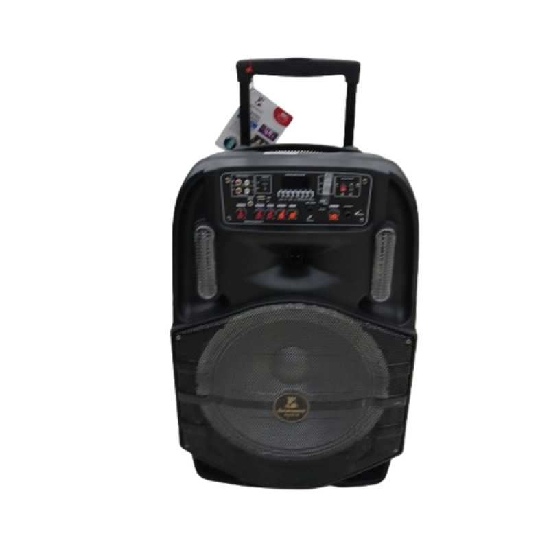 AVCROWNS SPEAKER 15 IN CH-8615