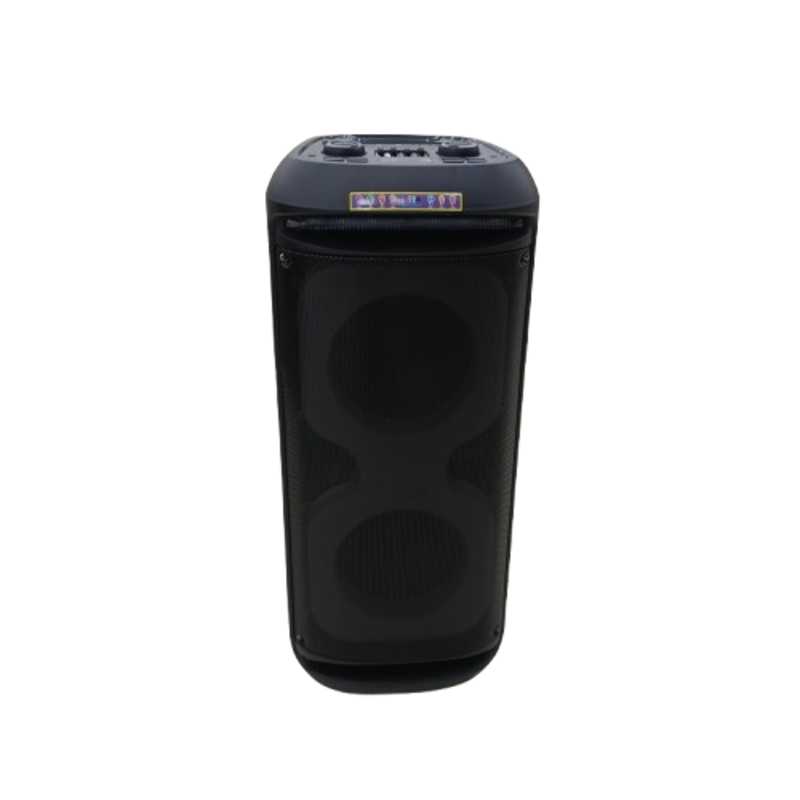 AVCROWNS SPEAKER 10 IN AO-1039