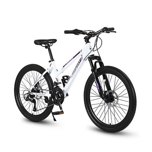 BICYCLE 26INCH (S TYRE) PJ-333-2 WHITE-B
