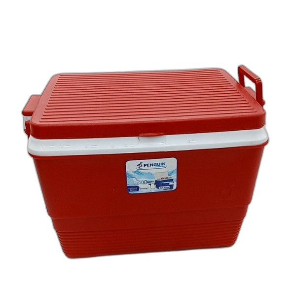 TP ICE CHEST RECTANGULAR 22L