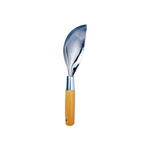 TIGER FISH SCALE REMOVER FL49-89