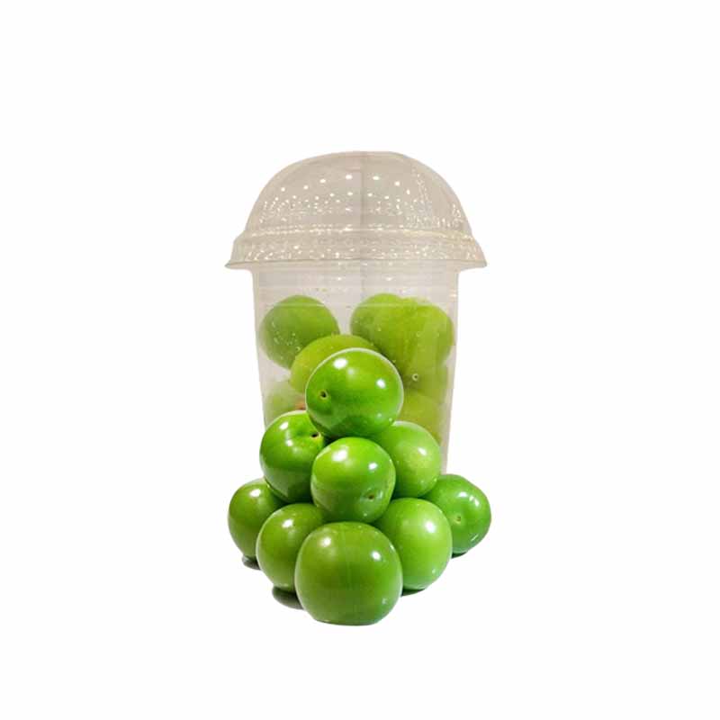 GREEN JANEREK PACK