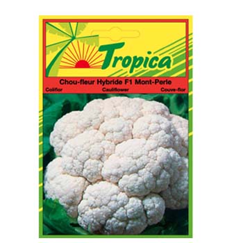 TROPICA CAULIFLOWER SEEDS 50G