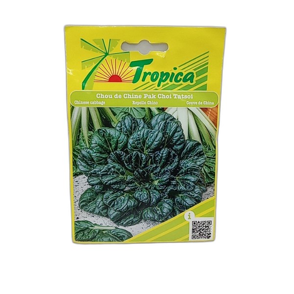 TROPICA PAK CHINESE CABBAGE SEED